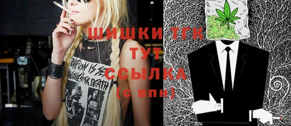 ешки Алексин