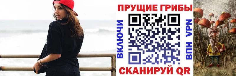 где купить Ленинск Галлюциногенные грибы GOLDEN TEACHER